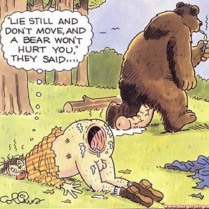 da bind mir doch einer einen bären auf